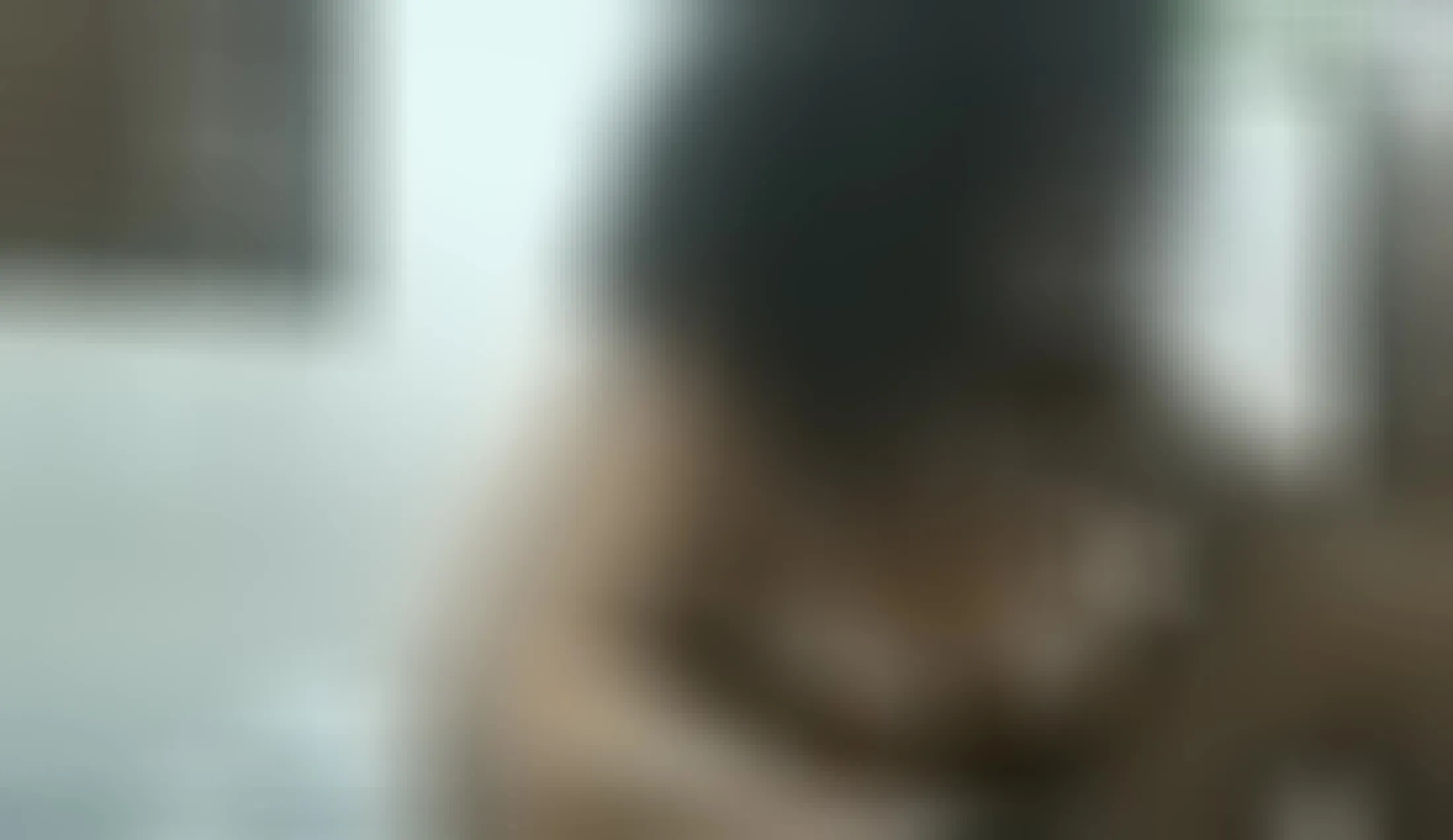 Interprete Bkrmmn Video 1