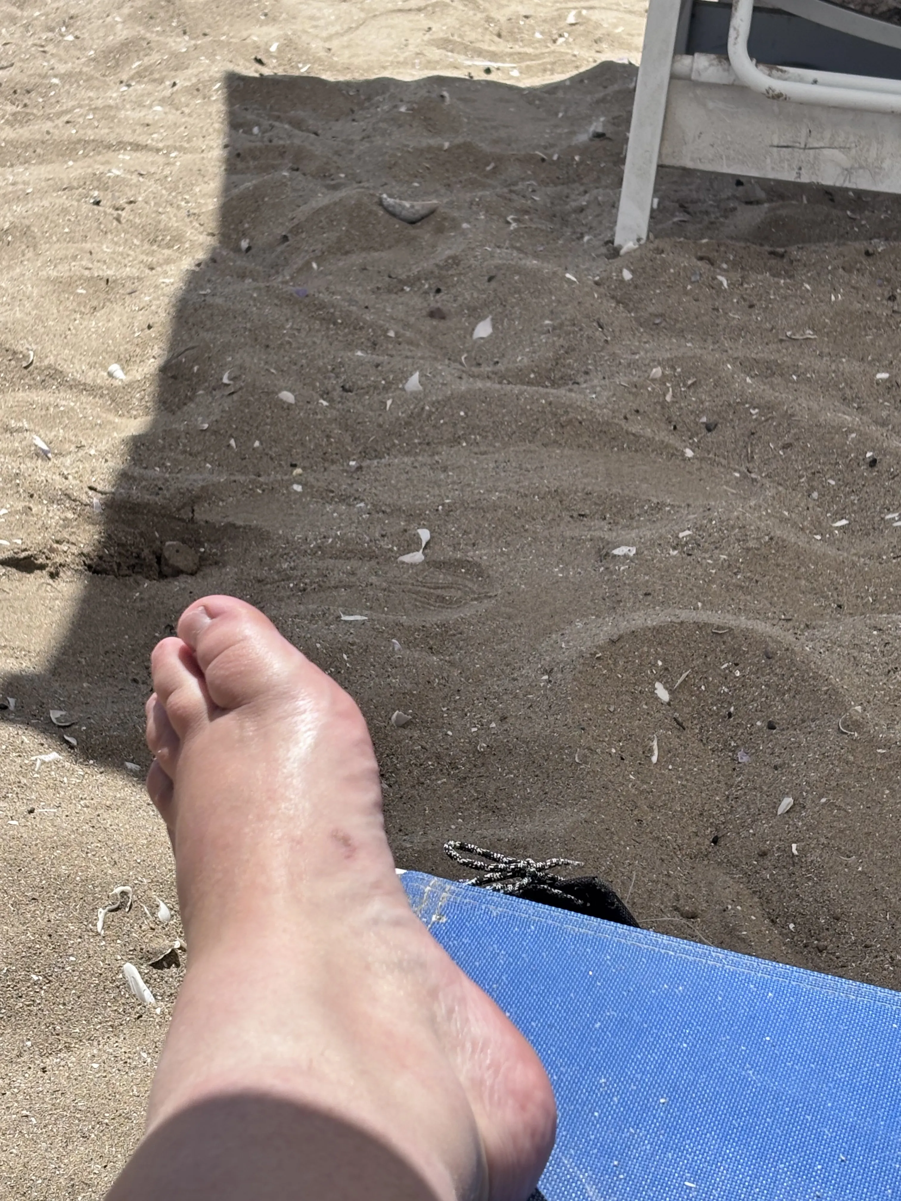 Interprete HornyyHollyyy Foto 5