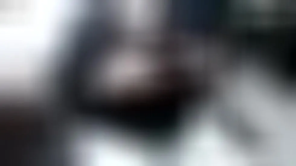Interprète Roshi_Love Vidéo 1