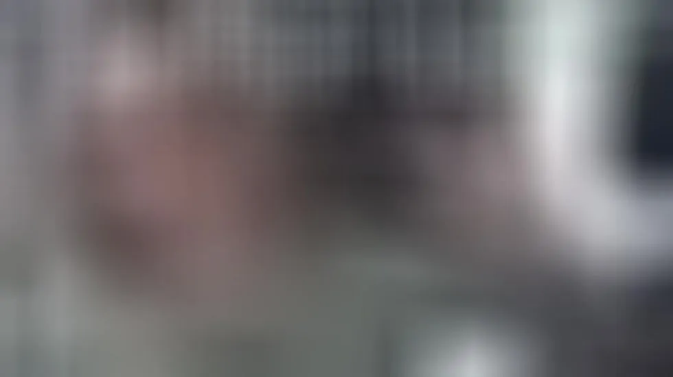 Performer Leon_Harry Video 1