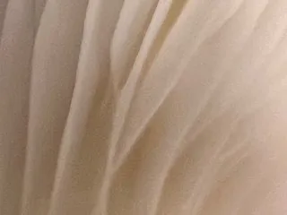 Image de profil du modèle de webcam FunTimezzzzz