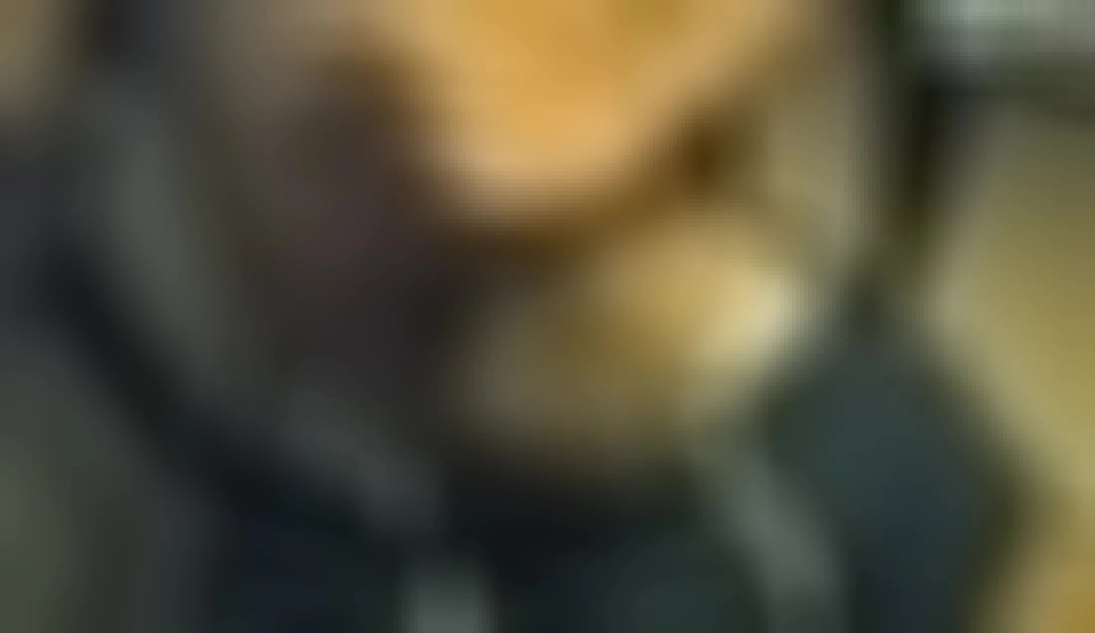 Interprète arvindsaa Vidéo 1