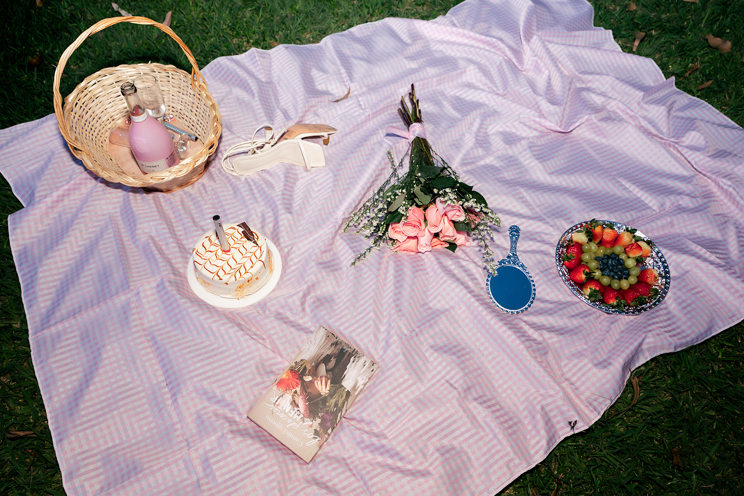 Intérprete RoseMichels Foto 1