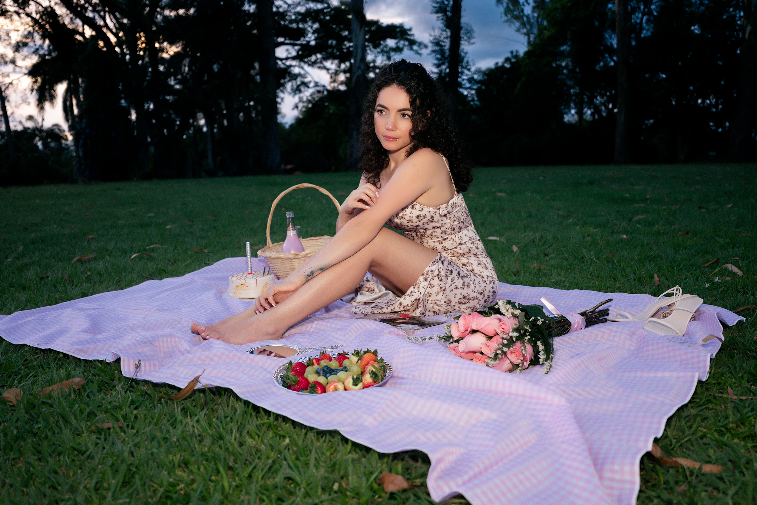 Intérprete RoseMichels Foto 5