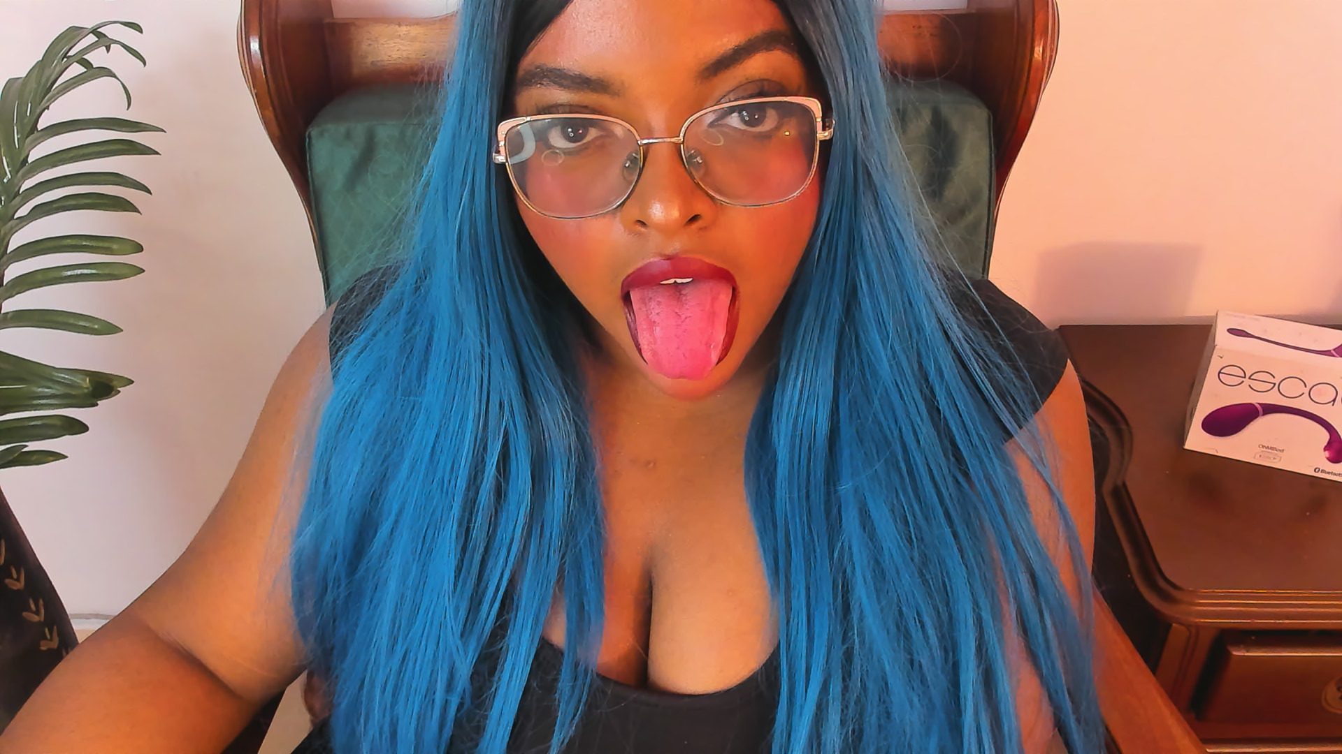 Artista conielaurentth Foto 12