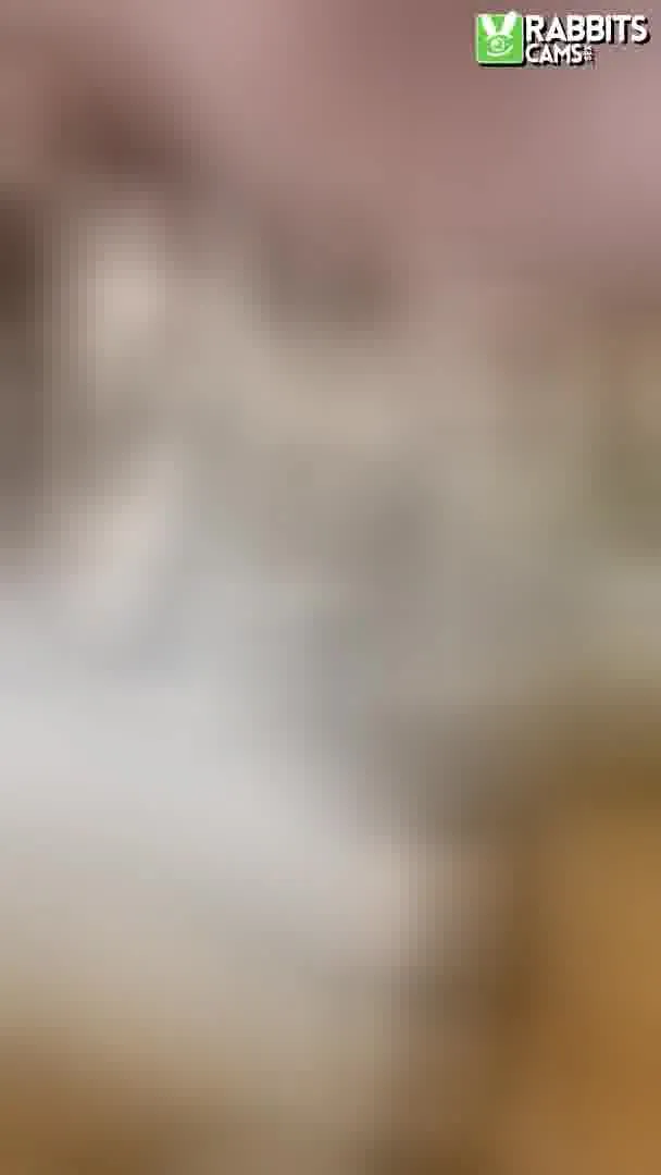 Interprète LizzySnow Vidéo 3