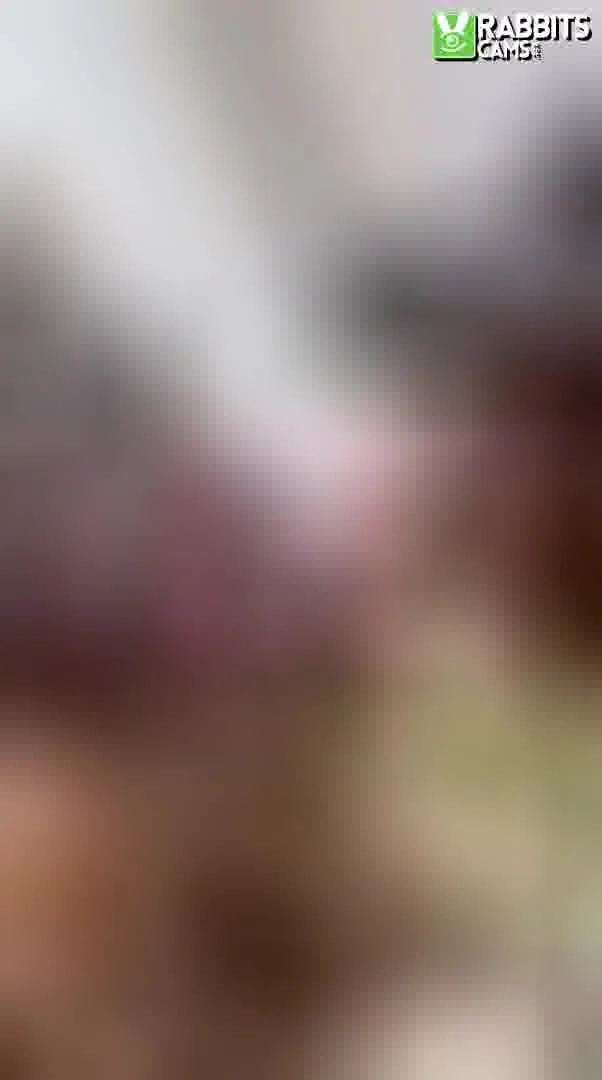 Interprète CarolainNNoa Vidéo 2