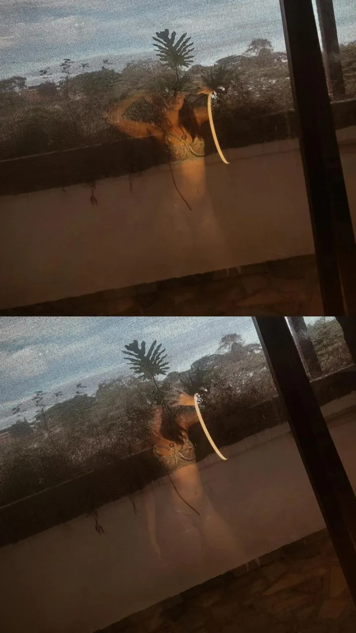 Artista AlaskaFlowers Foto 5