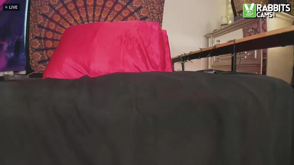 Interprete mschocolatebunny Video 1