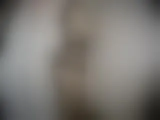 mschocolatebunny