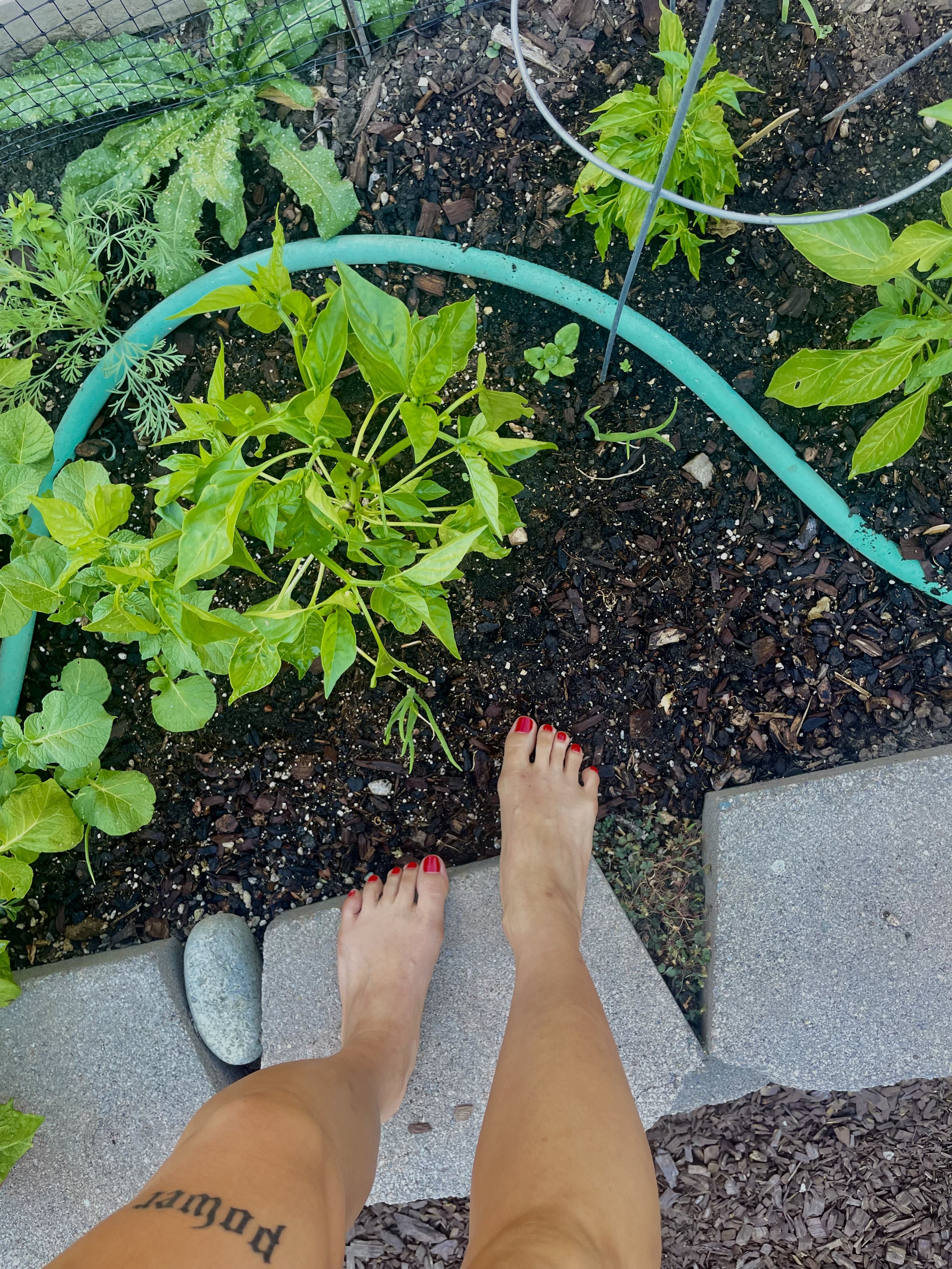 Interprete PriestessWu Foto 3