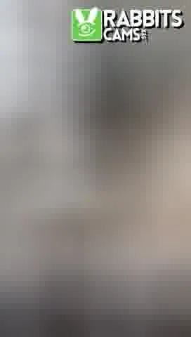 Interprète Cristal_by Vidéo 2