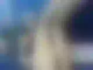 Image de profil du modèle de webcam FuegoAndPlaceerr