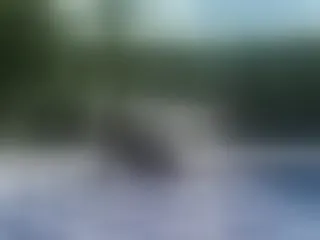Profilbilde av Kyoko97 webkamera modell