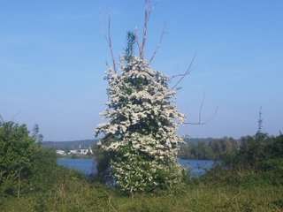 SexOverdoze6699 Profilbild des Cam-Modells