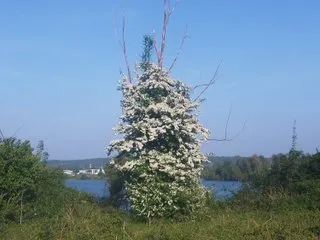 SexOverdoze6699 profielfoto van cam model