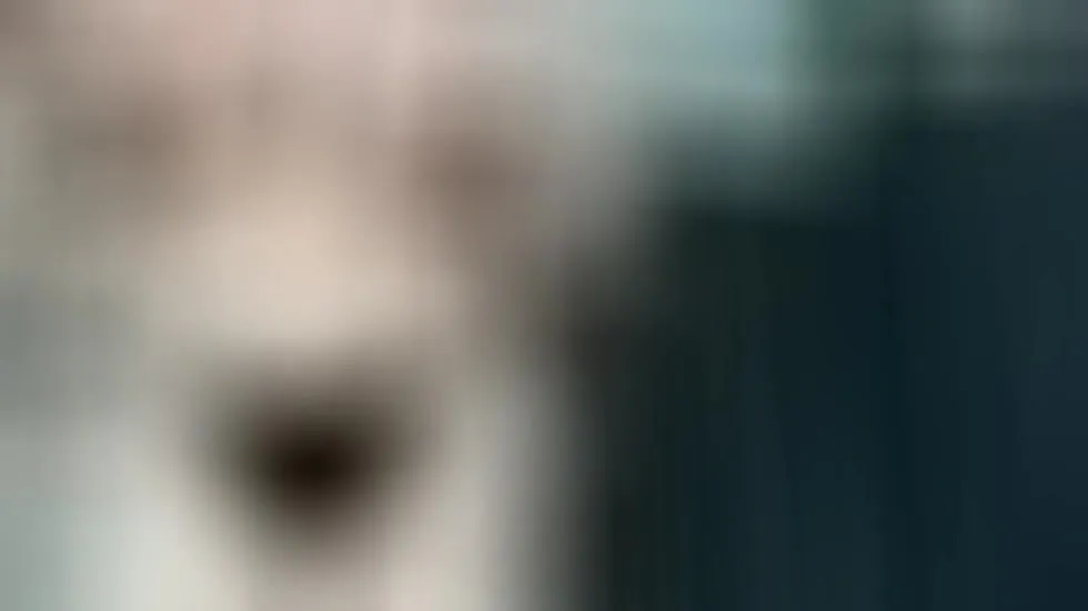 Intérprete Maya_Collins Video 1
