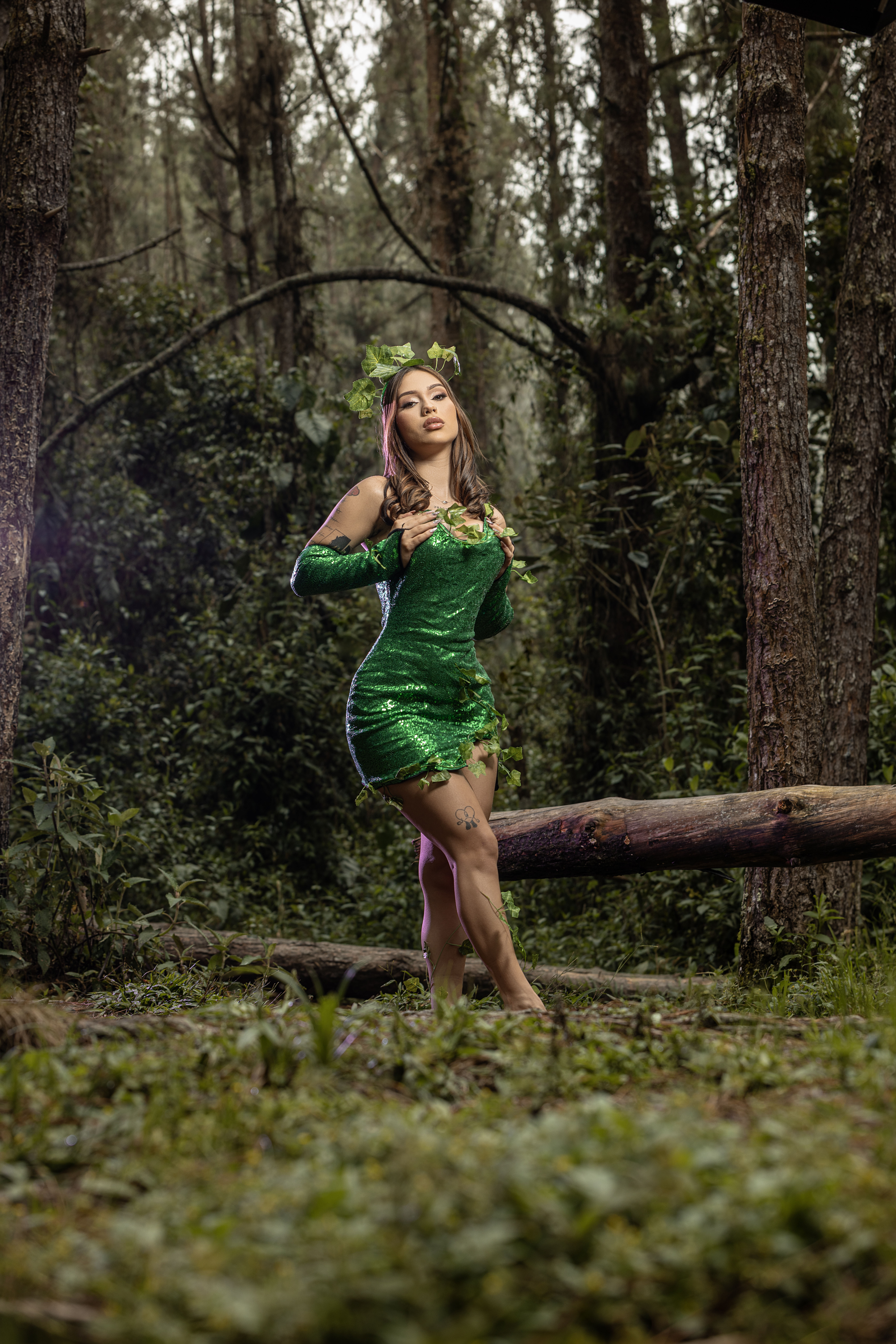 Interprete elektrashleby Foto 9