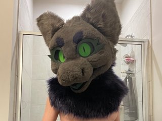 TiedMuzzled profielfoto van cam model