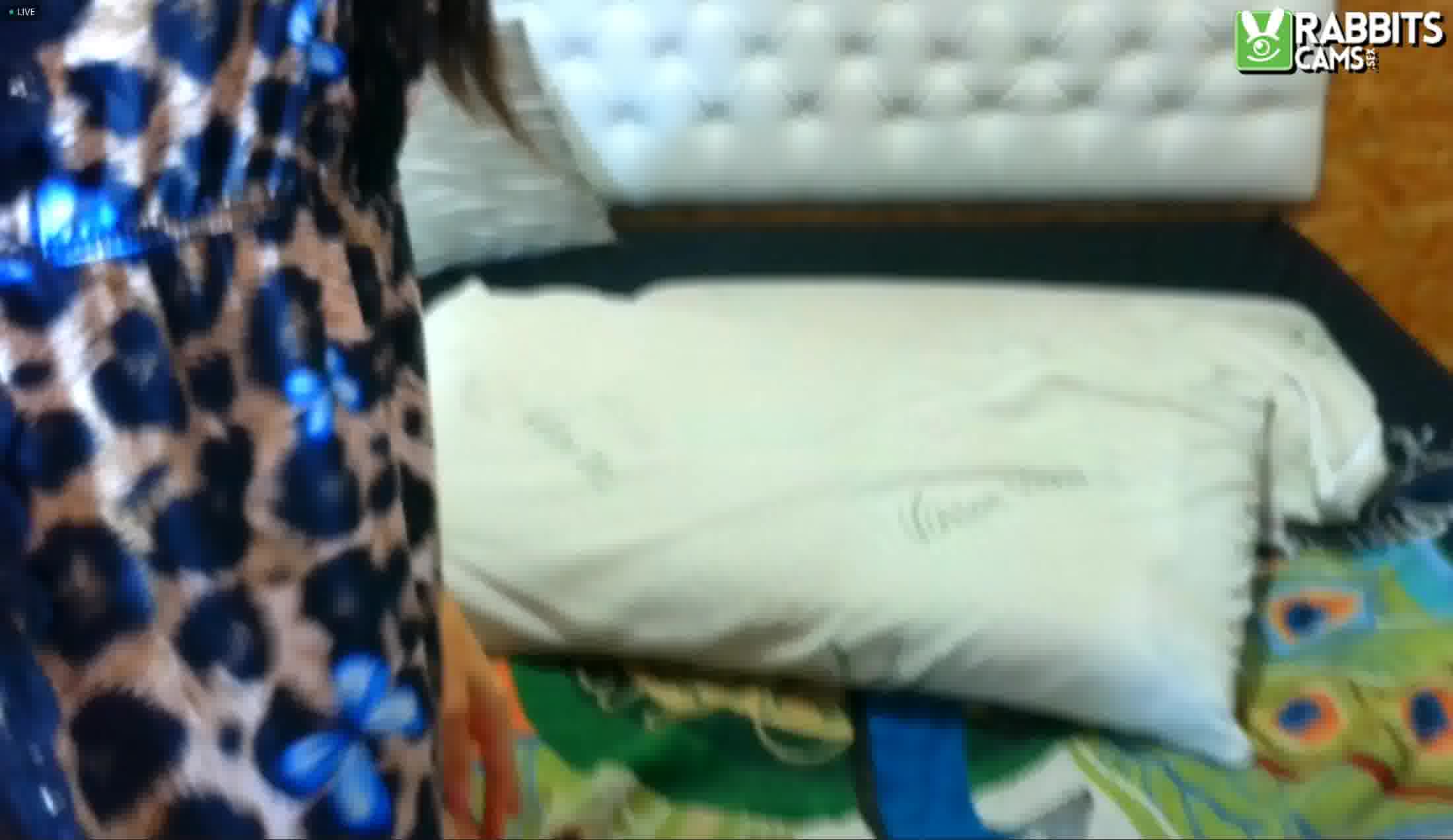 Intérprete orianalafrancaise Video 1