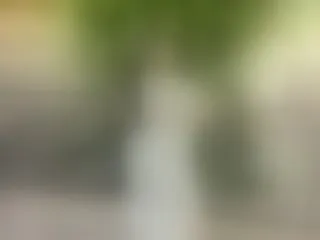 Image de profil du modèle de webcam SpicyExi