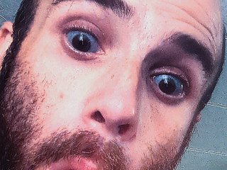 WolfieDaHardWhiteWood