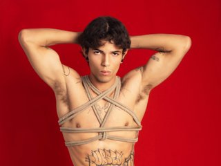 Imagen de perfil de modelo de cámara web de EnzoHunter