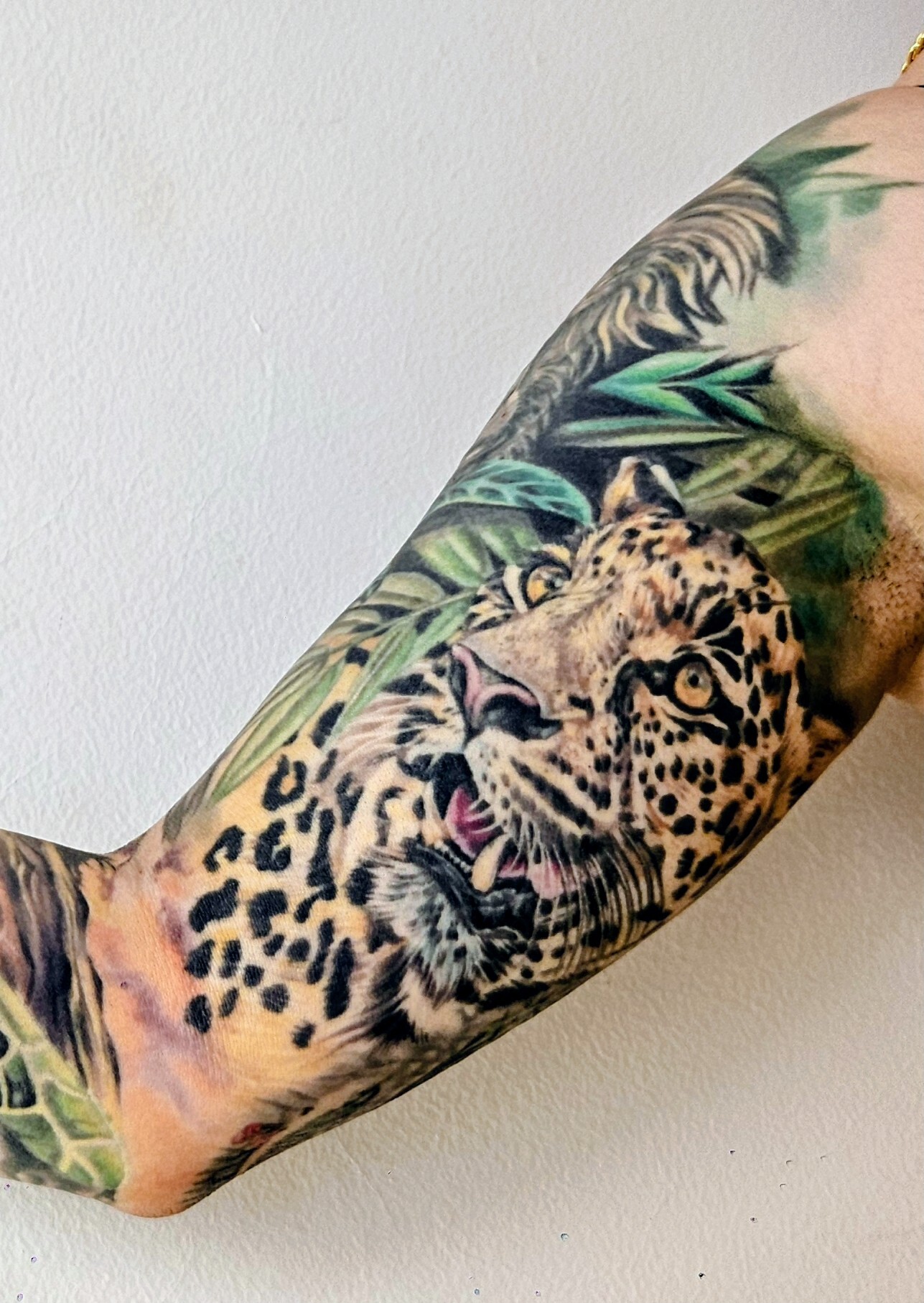 Artista Kat_Paradisse Foto 4