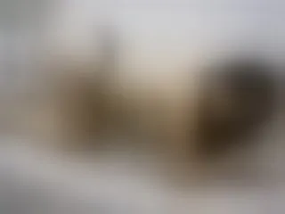 Foto de perfil de modelo de webcam de Sabrinha