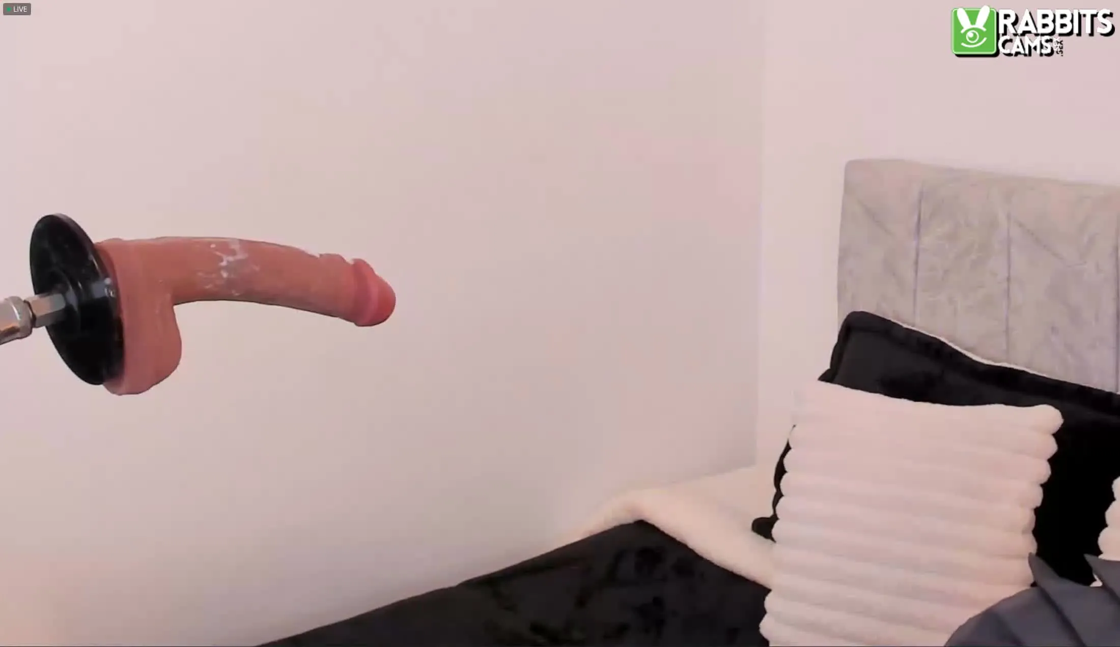 Artist LIAMAXWELL Video 1