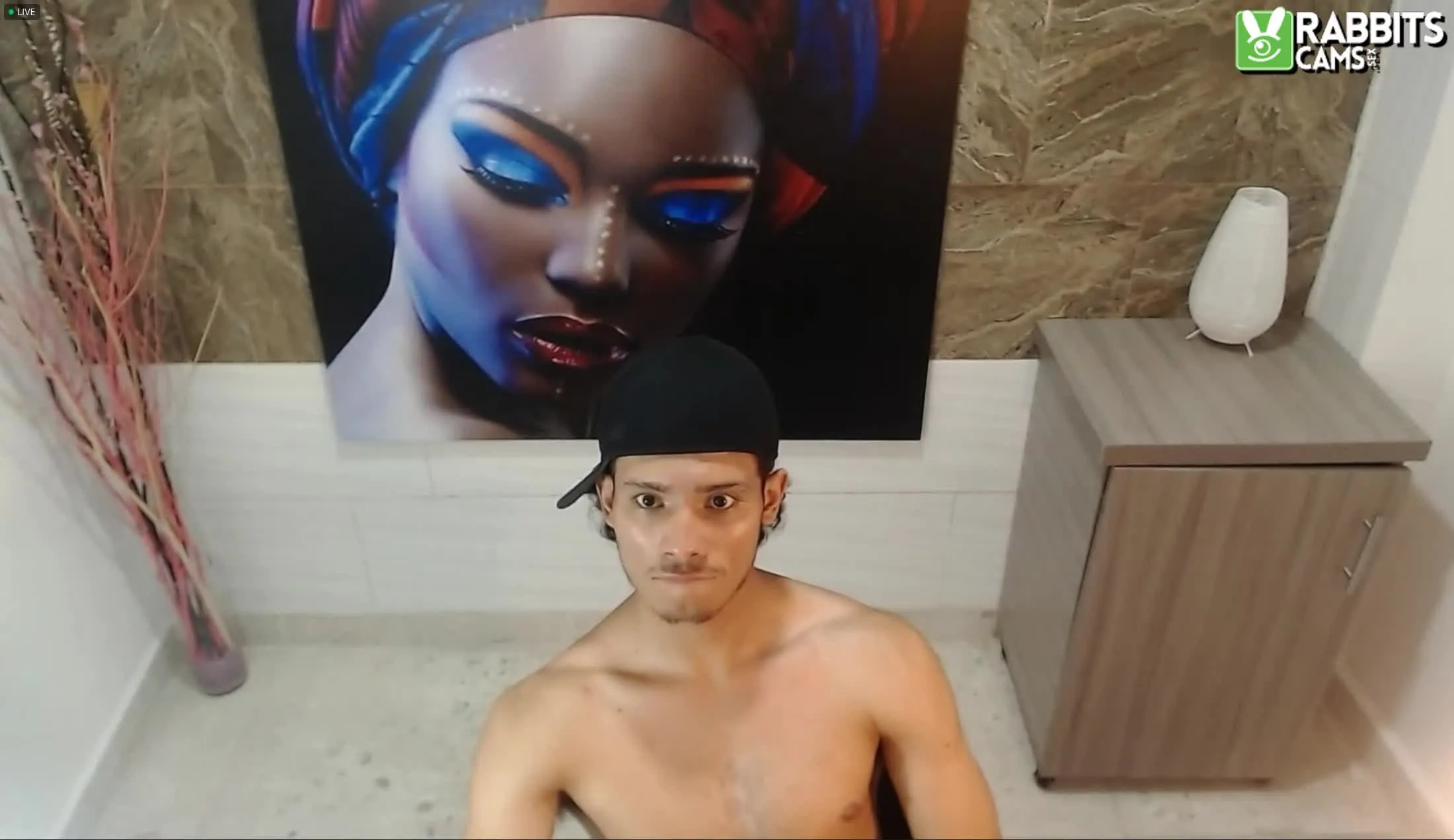 Artista Vandaal Video 1