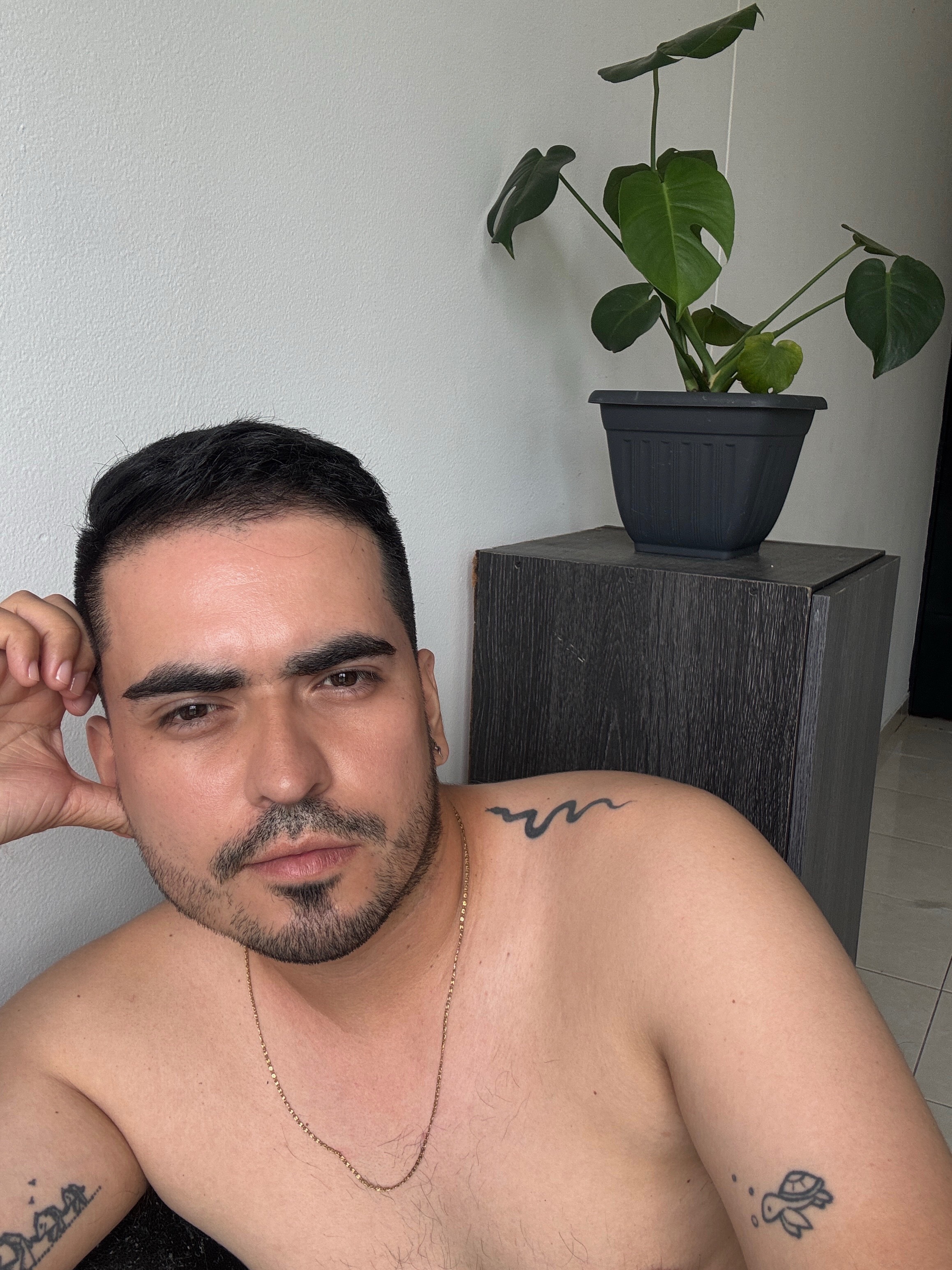 Artista PatrickCollins Foto 10