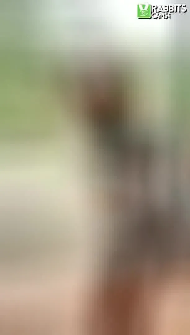 Artiest KaylenDurannd Video 2