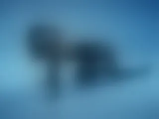 SienaBloom profielfoto van cam model