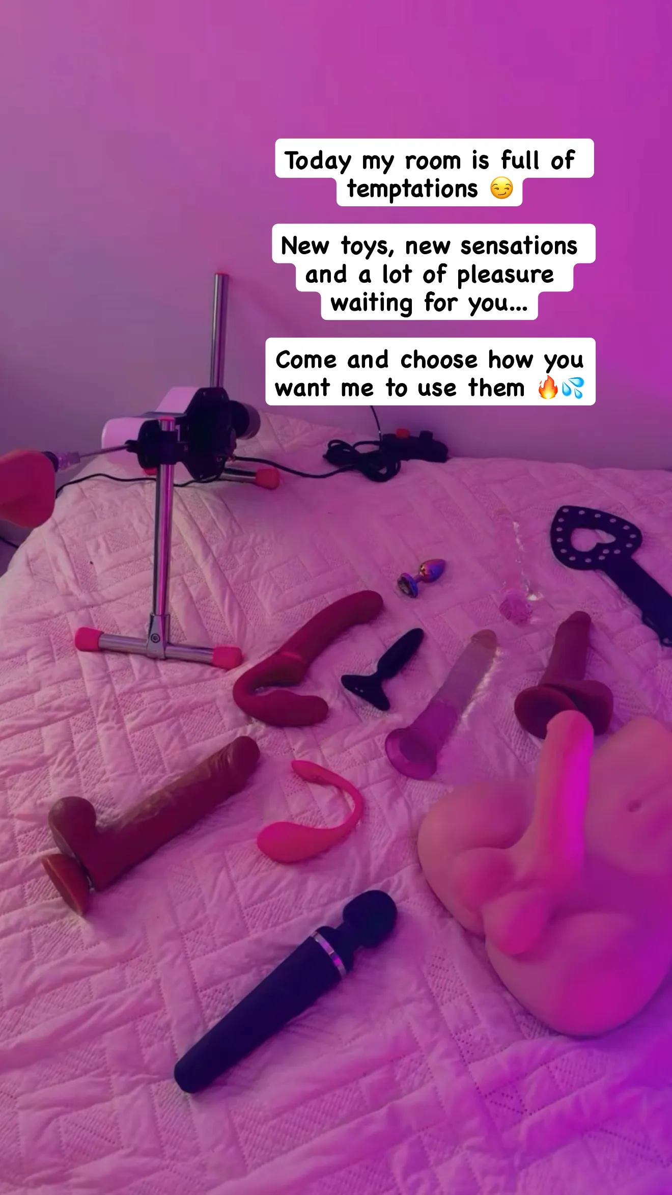 Interprète SamamthaStone Photo 6