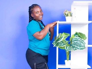 Steilaz65 immagine del profilo del modello di cam