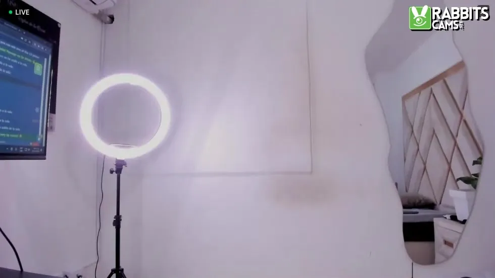 Artist Arielasm Video 1