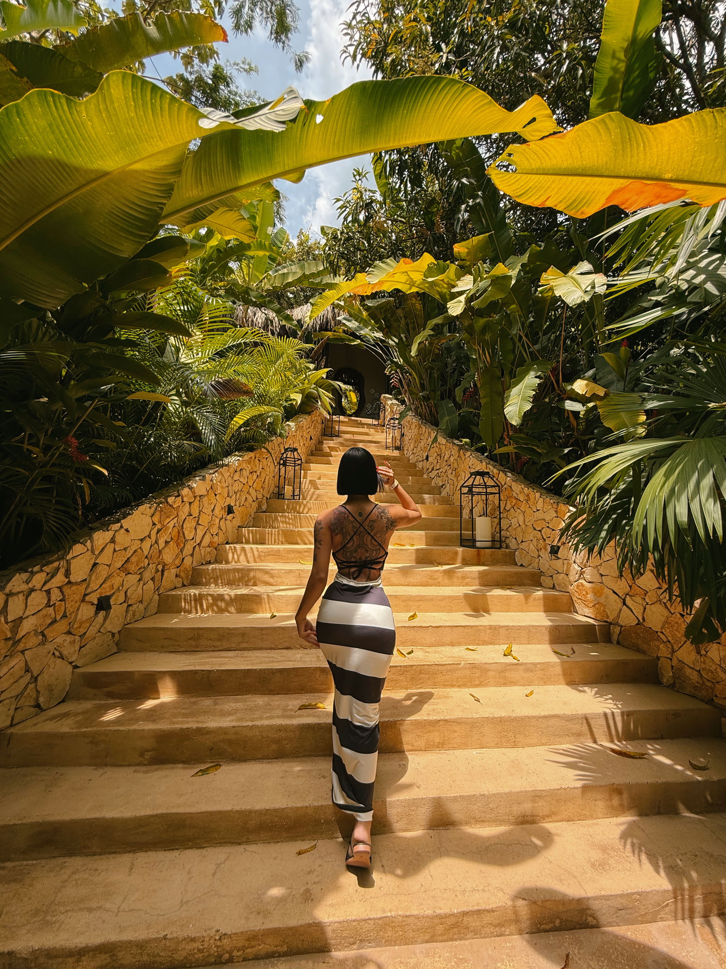 Interprete Lotie_Cox Foto 8