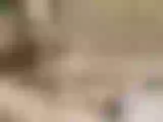 SofiaRoce cam model profile picture