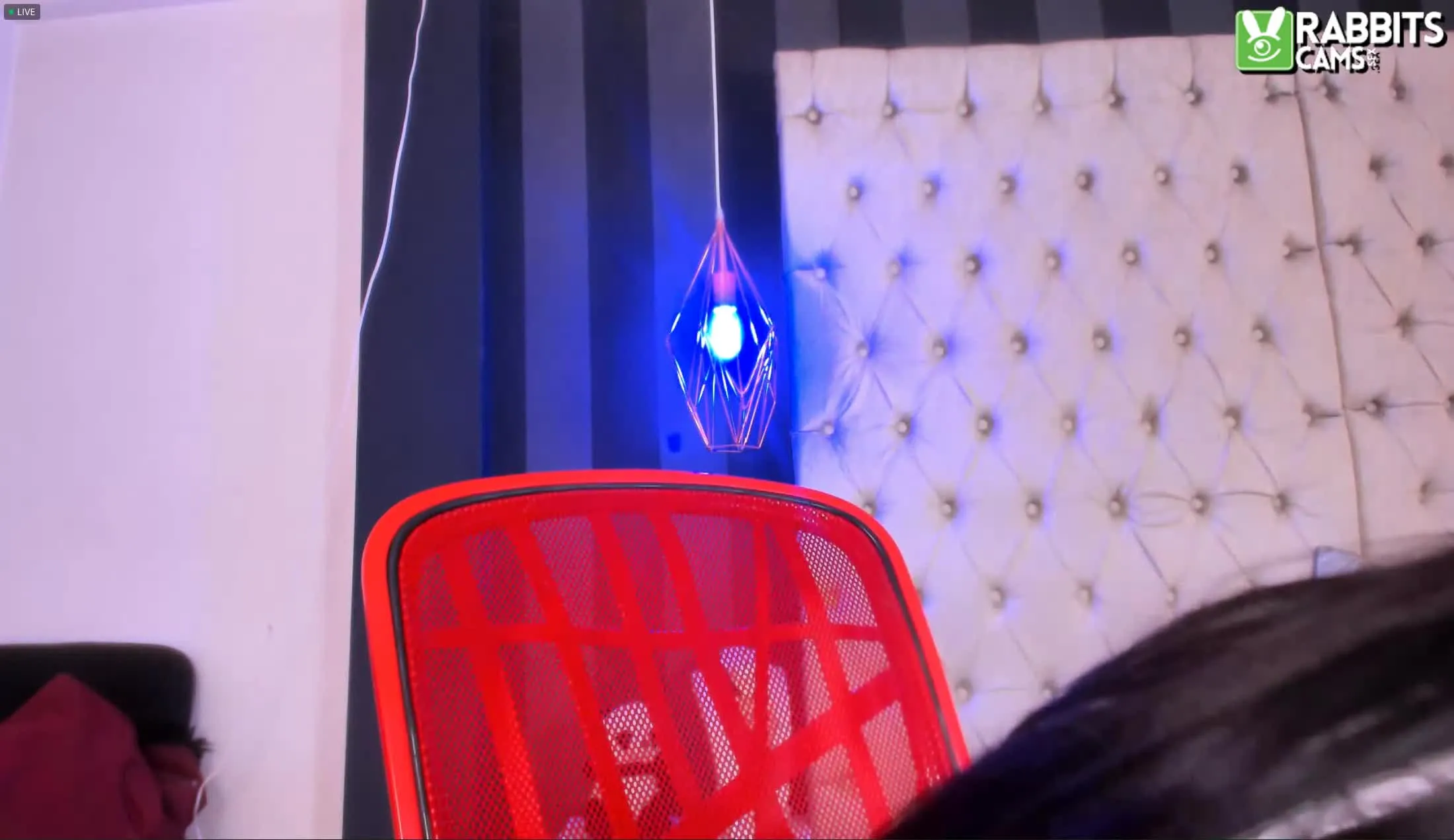 Artiest CamilePetit Video 1