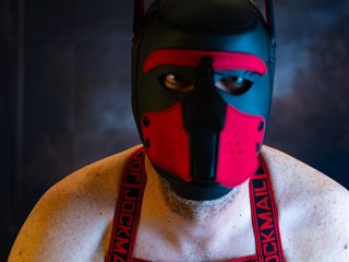 xMasked_Daddiex Profilbild des Cam-Modells 