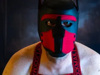 Image de profil du modèle de webcam xMasked_Daddiex