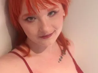 Image de profil du modèle de webcam Sinchip