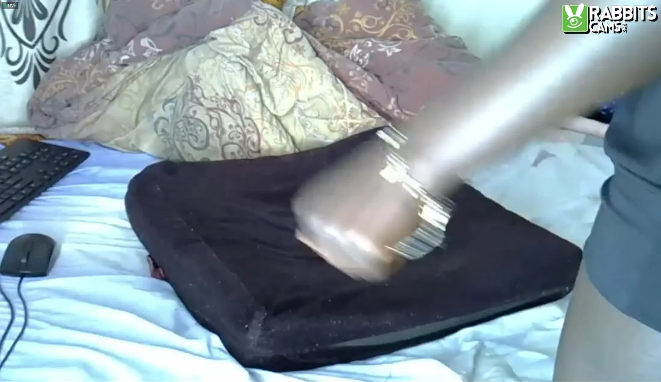 Interprète Sweetmeloo Vidéo 1