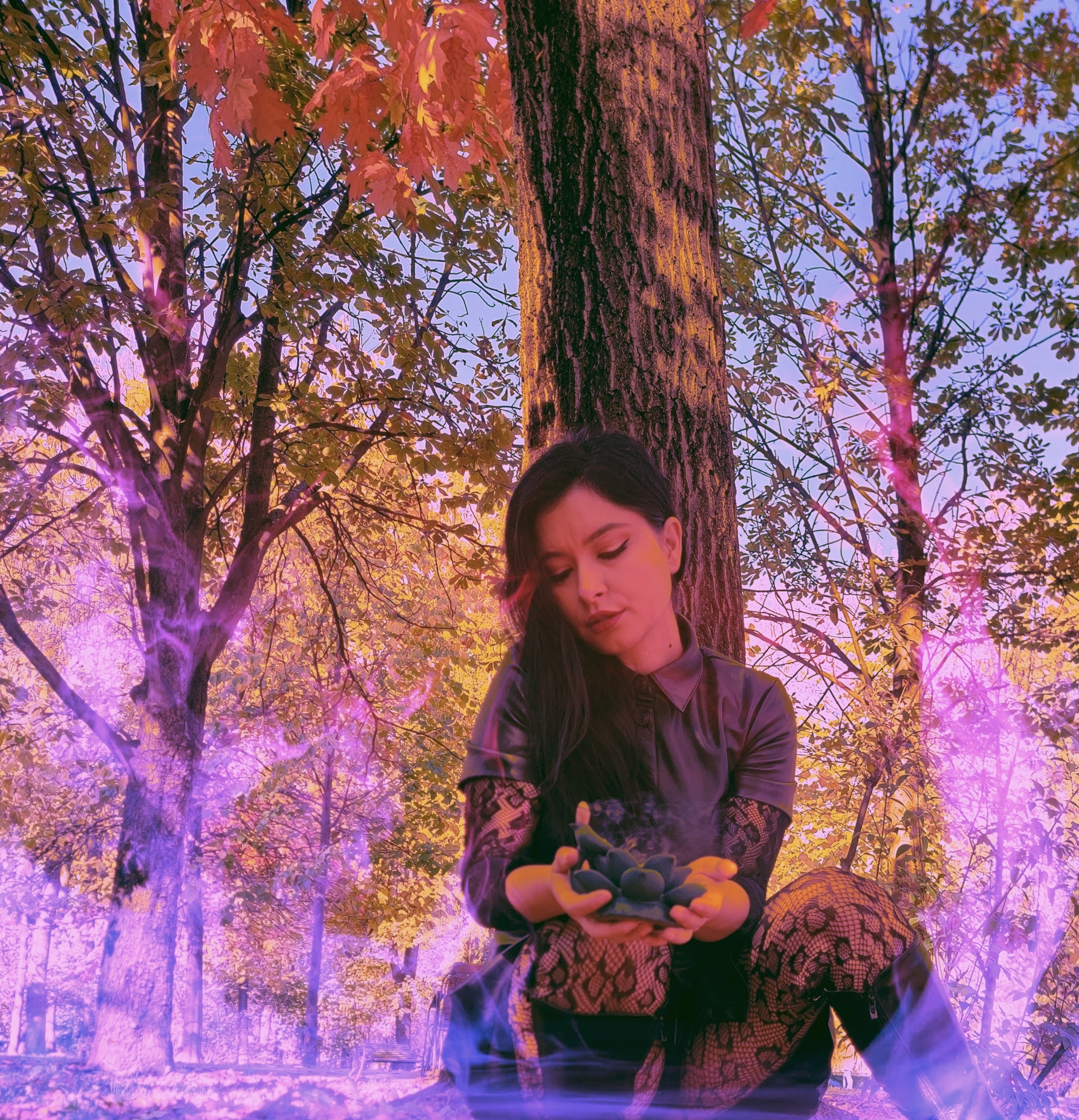 Utøver EvaLevine Bilde 4