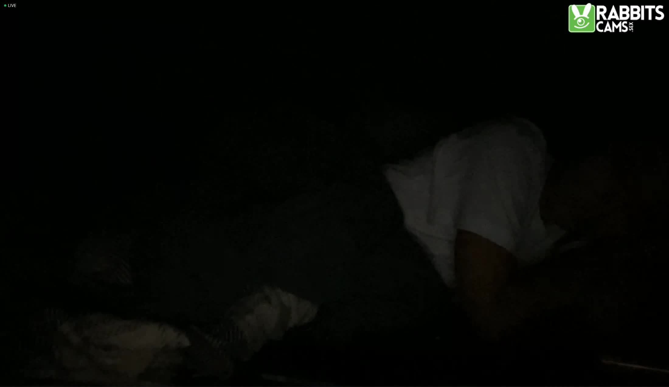 Utøver dddasani Video 1