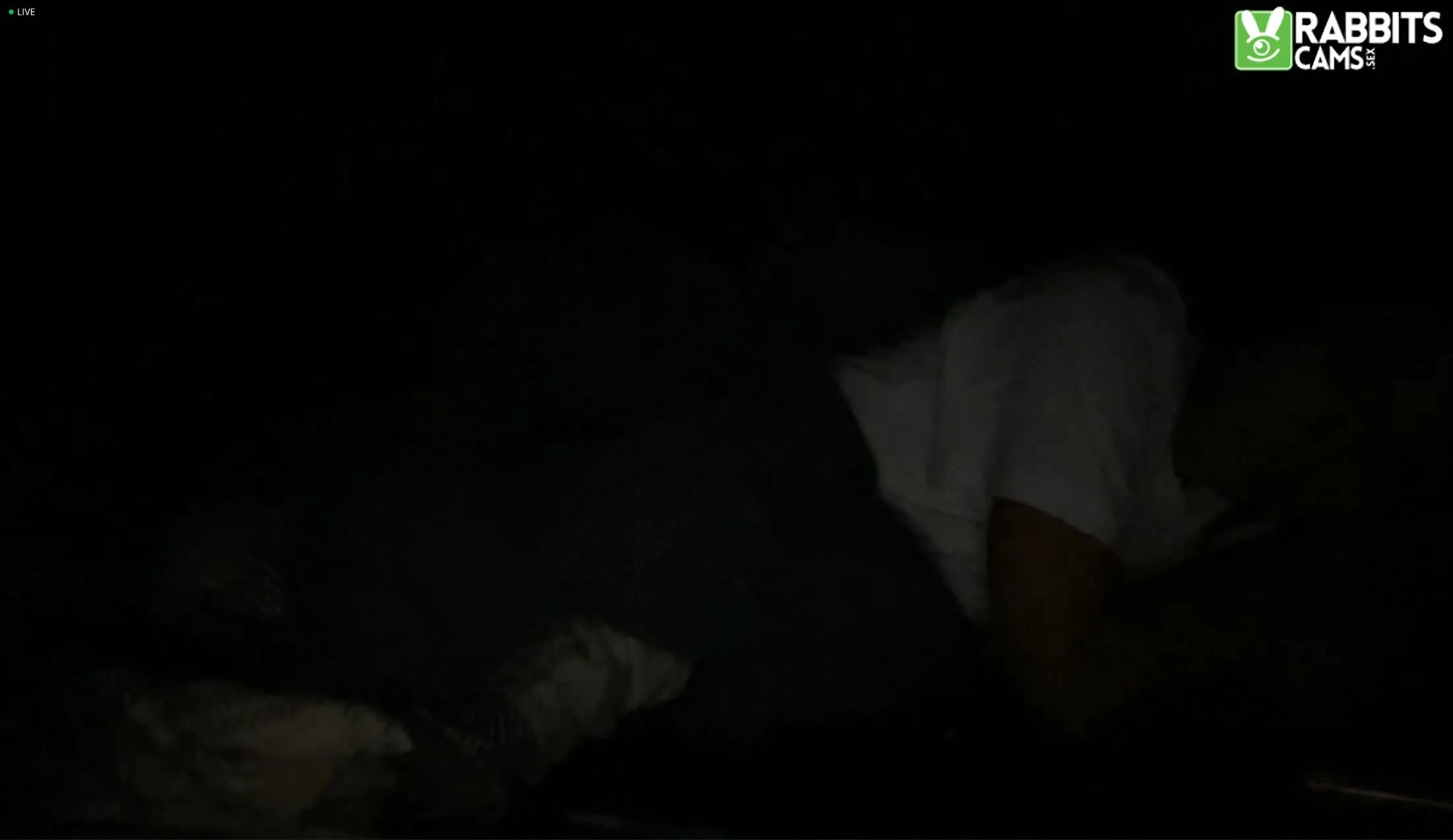 Darsteller dddasani Video 1