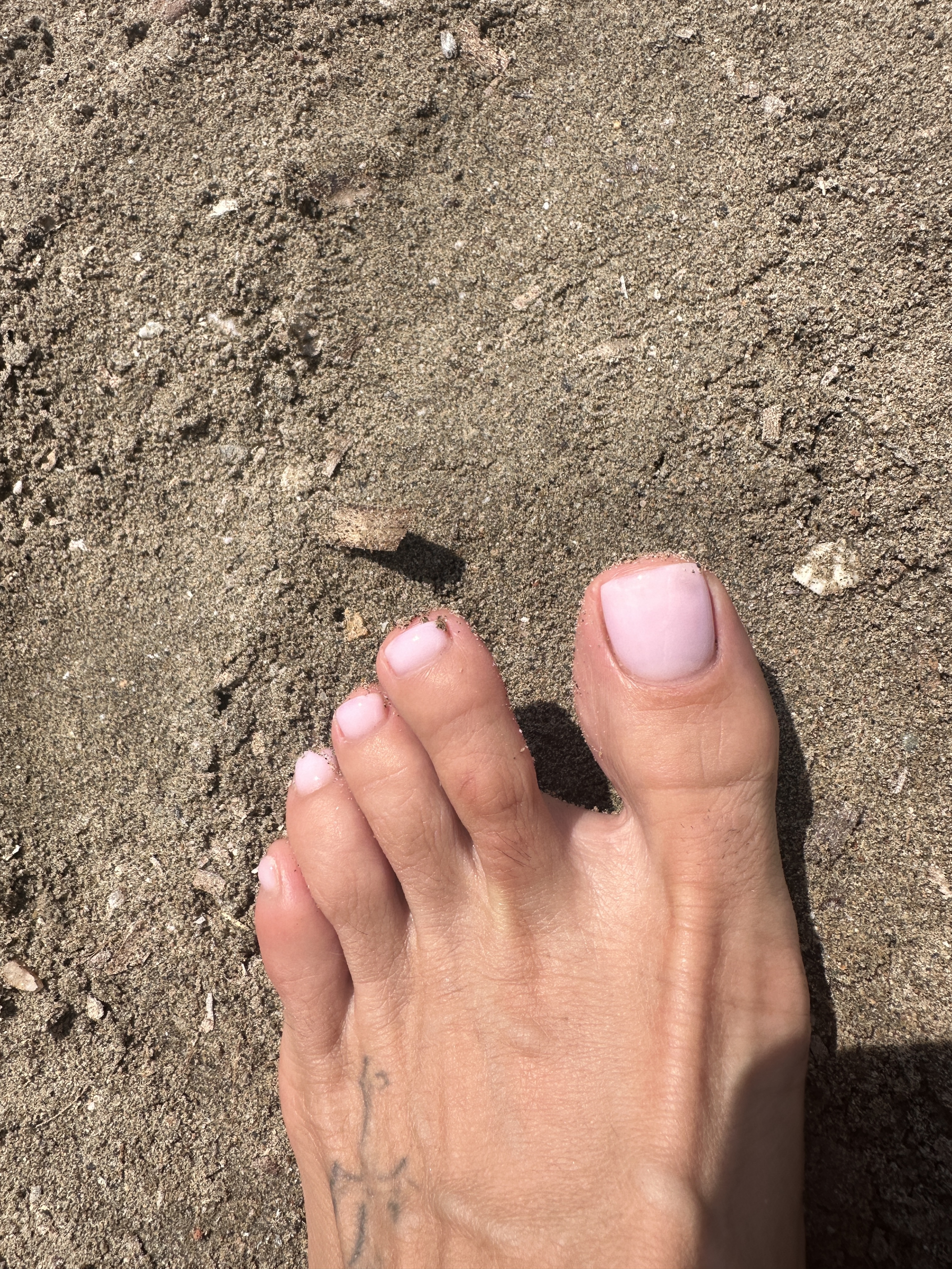 Interprète Princess_Eva_xxo Photo 4