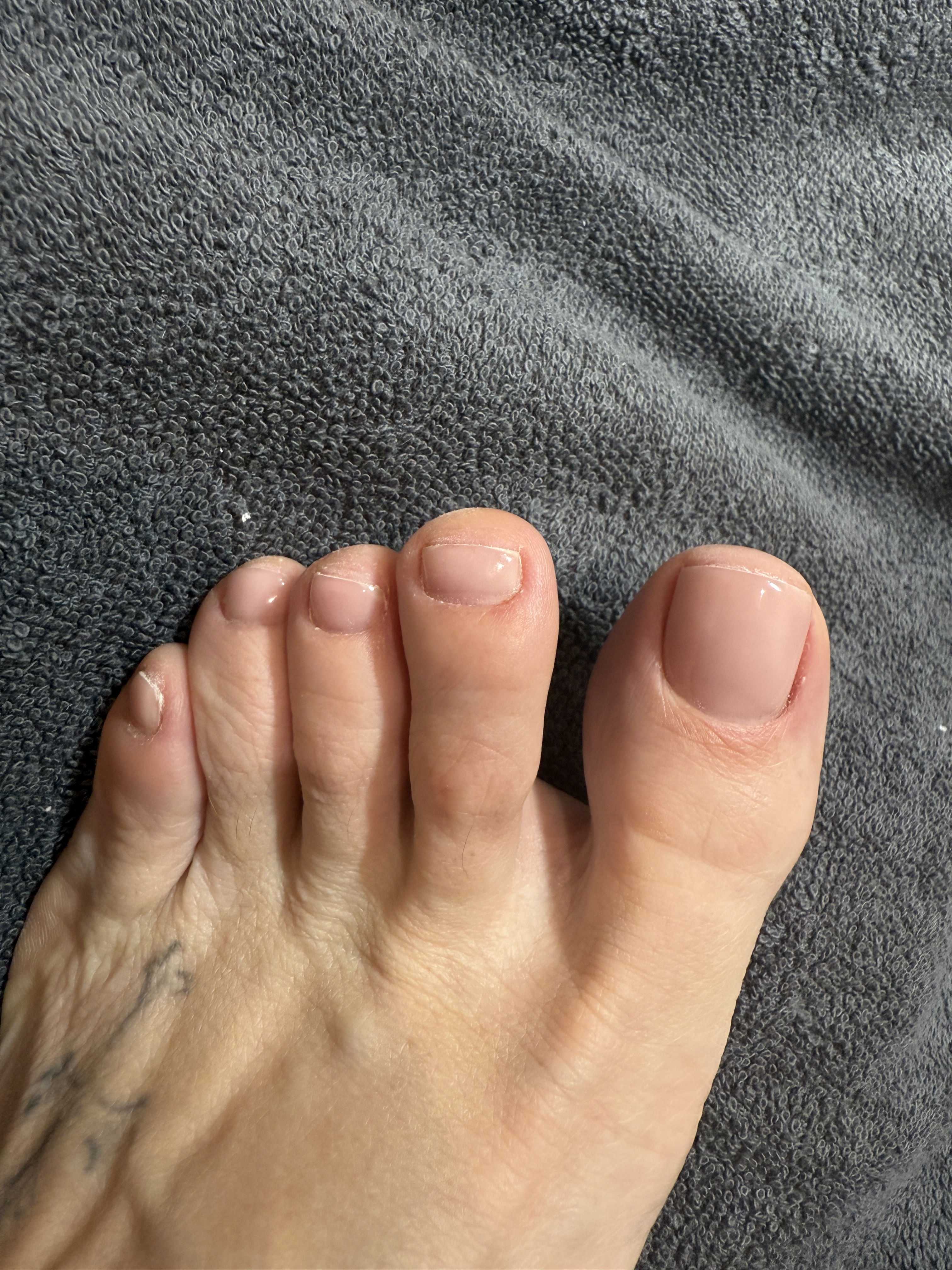 Interprète Princess_Eva_xxo Photo 2