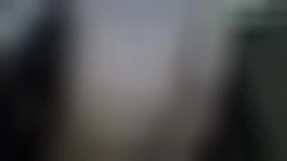 Intérprete Wankbox Video 1